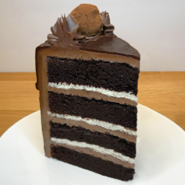 A chocolate cake sitting on top of a white plate.